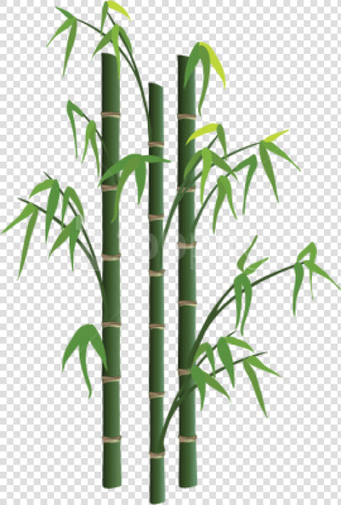 Bamboo Sticks Png   Transparent Background Bamboo Png Transparent  Png DownloadTransparent PNG