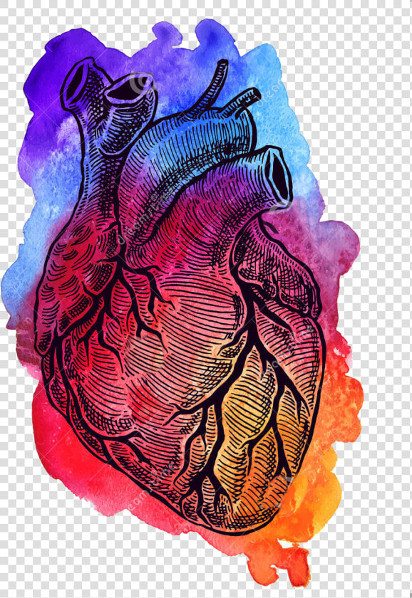 Corazn En Un Fondo De La Acuarela 59700486   Acuarela Corazón Humano Dibujo  HD Png DownloadTransparent PNG