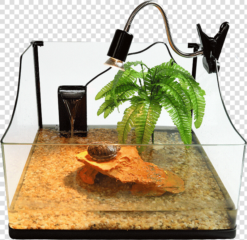 Aquarium  HD Png DownloadTransparent PNG