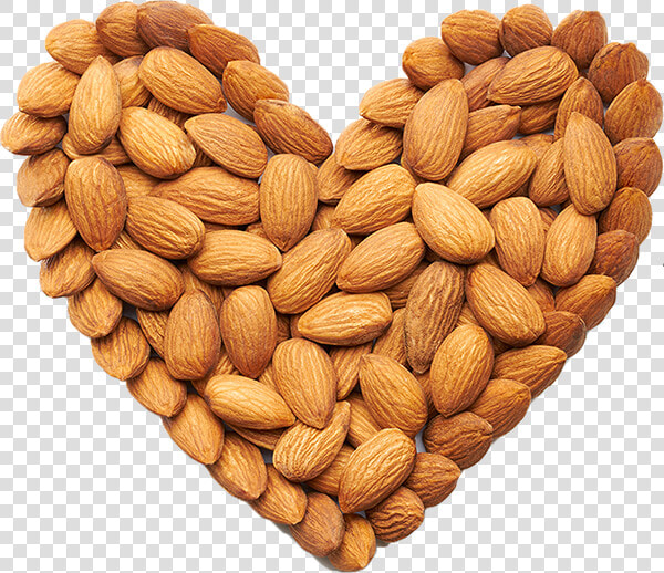 Transparent Almonds Png   Almond  Png DownloadTransparent PNG