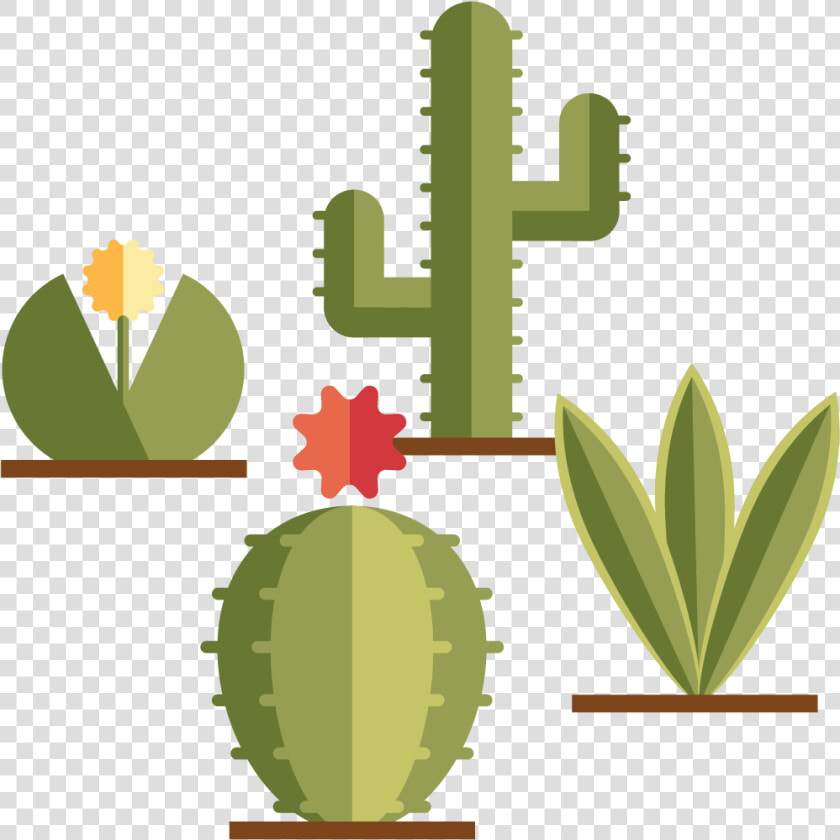 Become Part Of A Community Of Practitioners   Hedgehog Cactus  HD Png DownloadTransparent PNG