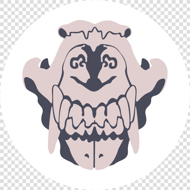 Identify Any Bone   Illustration  HD Png DownloadTransparent PNG