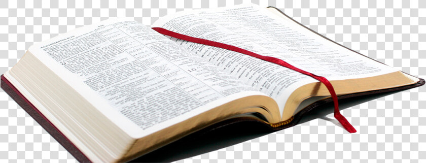 Transparent Bible Png Images   Open Bible Png Hd  Png DownloadTransparent PNG