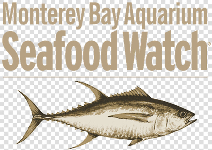 Https     thelobstertrap     Seafood Watch  HD Png DownloadTransparent PNG