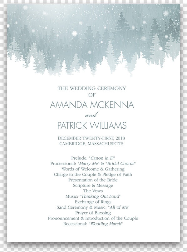 Winter Wonderland Rsvp Cards Png   Darkness  Transparent PngTransparent PNG