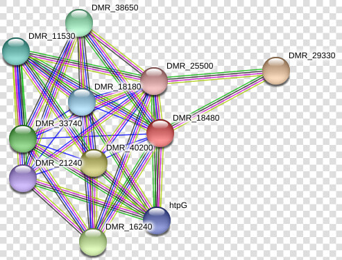 Dmr 18480 Protein   Circle  HD Png DownloadTransparent PNG