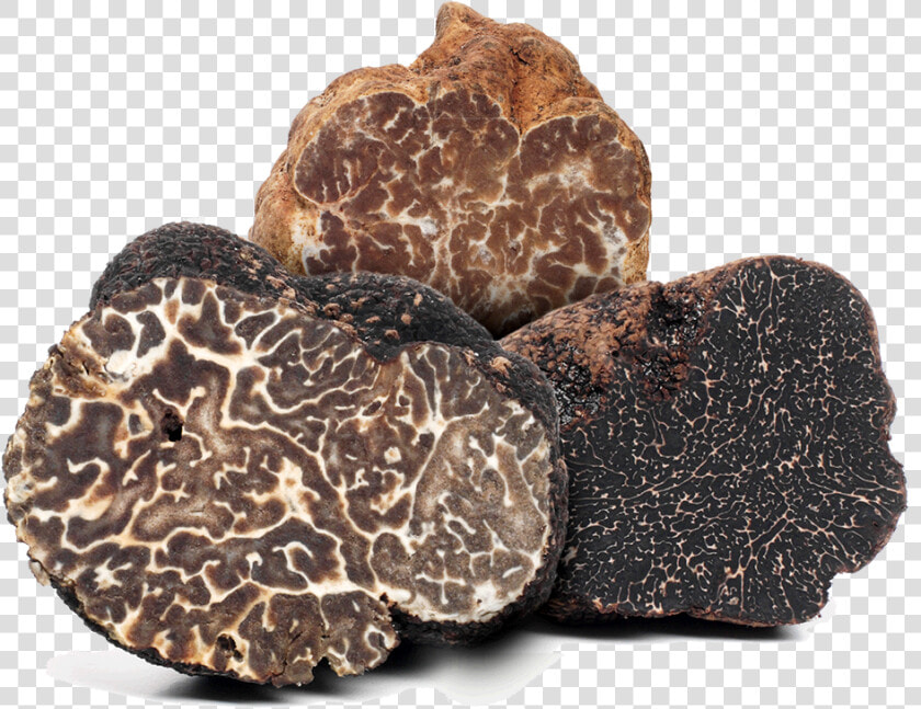 What Is A Truffle   Truffle Mushrooms  HD Png DownloadTransparent PNG