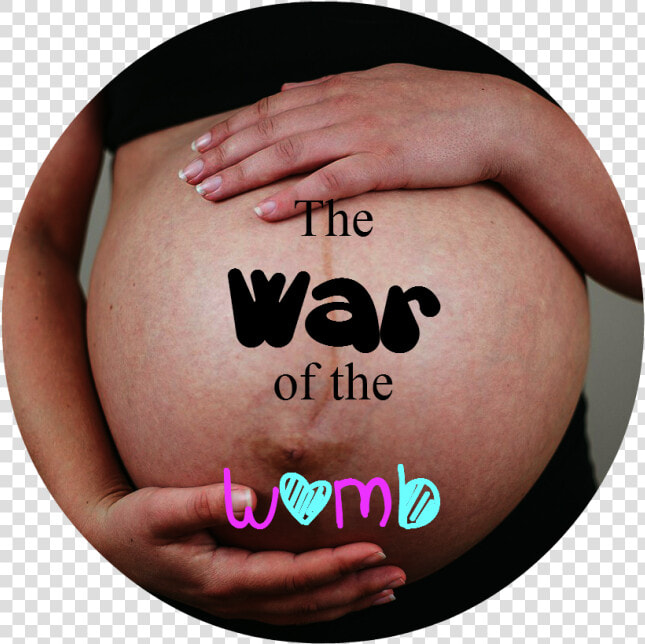 Pregnancy   Comfort  HD Png DownloadTransparent PNG