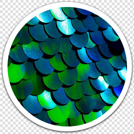 Blue  amp  Green Ombré Luxe Sequin Backdrop   Circle  HD Png DownloadTransparent PNG