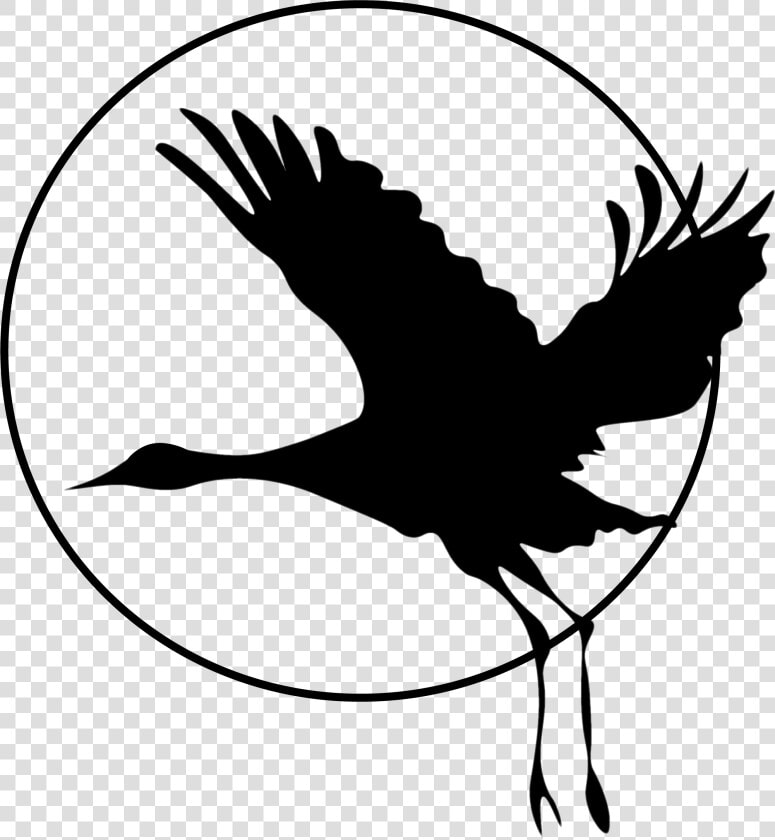 Sandhill Crane Clip Art  HD Png DownloadTransparent PNG