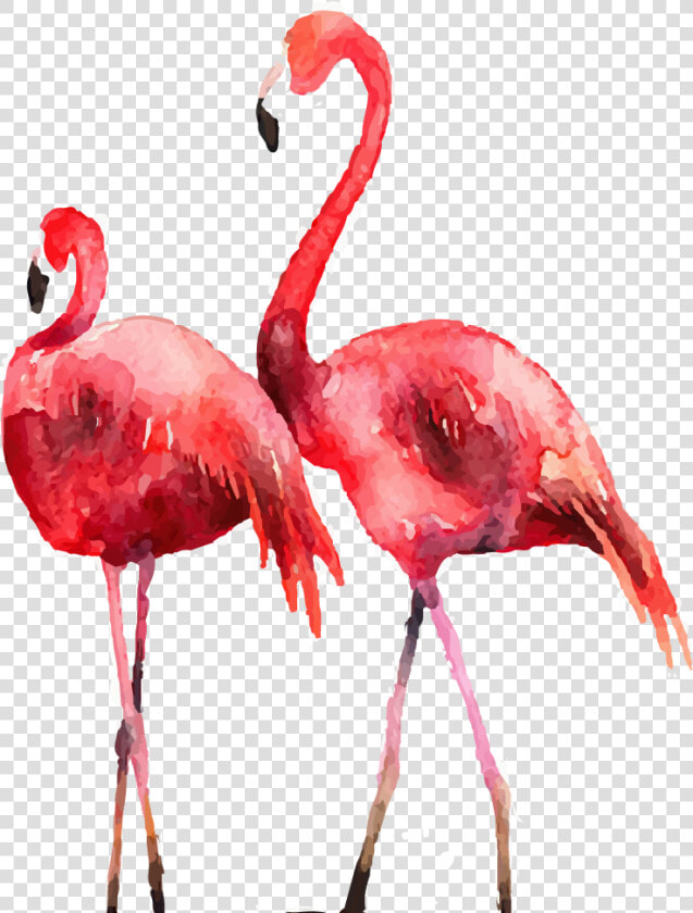 Flamingo Poster Printmaking Illustration   Flamingo Painting Png  Transparent PngTransparent PNG