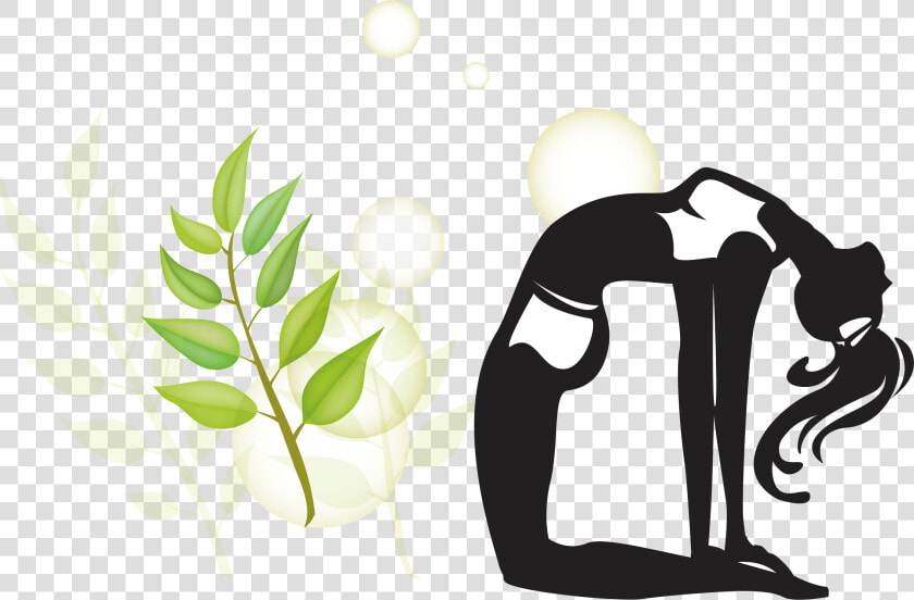 Yoga Silhouette Female Physical Fitness   Asana  HD Png DownloadTransparent PNG