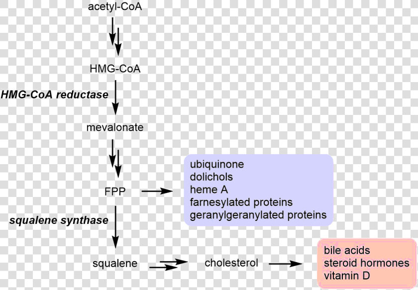 Mevalonate Pathway Branching At Fpp   Farnesyl Diphosphate Farnesyltransferase  HD Png DownloadTransparent PNG