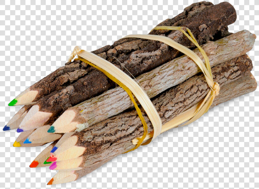 Website Category Image Children   Driftwood  HD Png DownloadTransparent PNG