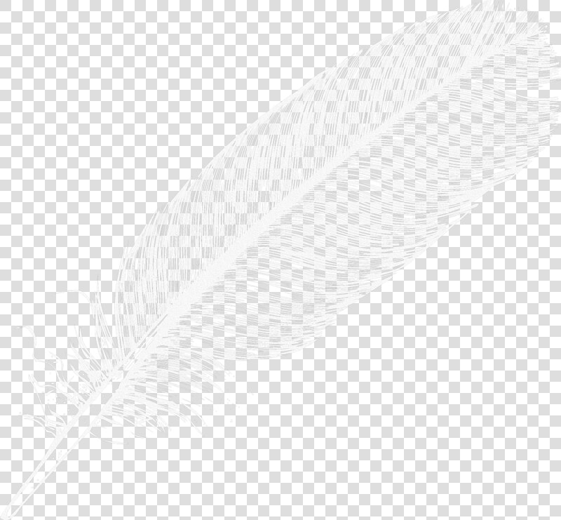 Feather   Large White Feather Png  Transparent PngTransparent PNG