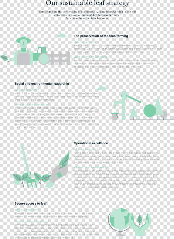 Our Sustainable Leaf Strategy   Parallel  HD Png DownloadTransparent PNG