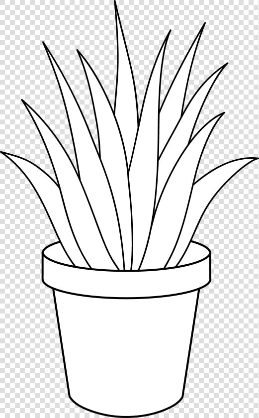 Black And White Plants   House Plants Clipart Black And White  HD Png DownloadTransparent PNG