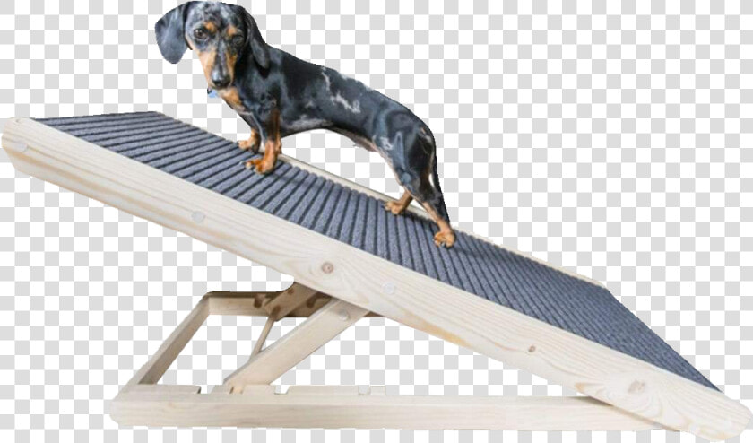 Dachshund Dog Ramp For Bed  HD Png DownloadTransparent PNG