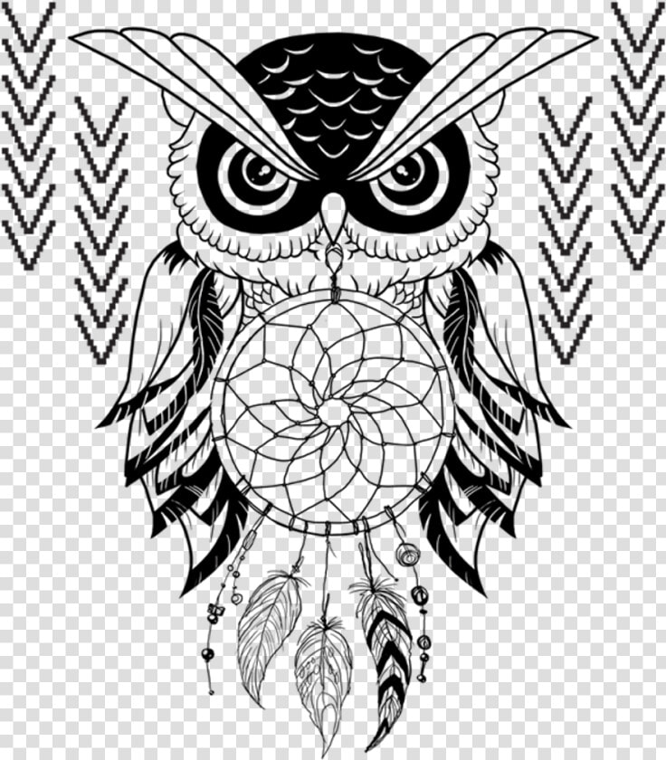 Drawing Feather Owl Transparent Png Clipart Free Download   Dream Catchers Black And White  Png DownloadTransparent PNG