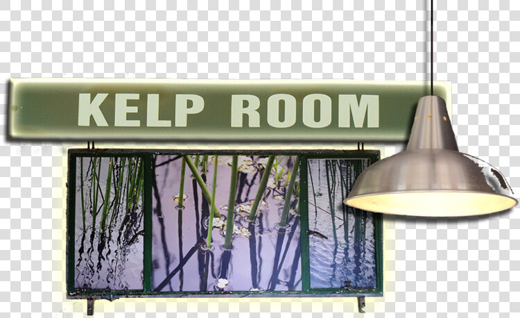 Kelp Room Title   Billboard  HD Png DownloadTransparent PNG