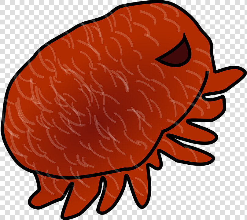 Parasite  Louse  Red   Varroa Mite Clip Art  HD Png DownloadTransparent PNG