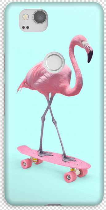 Flamingo On Skateboard Case Pixel   Flamingo Skate  HD Png DownloadTransparent PNG