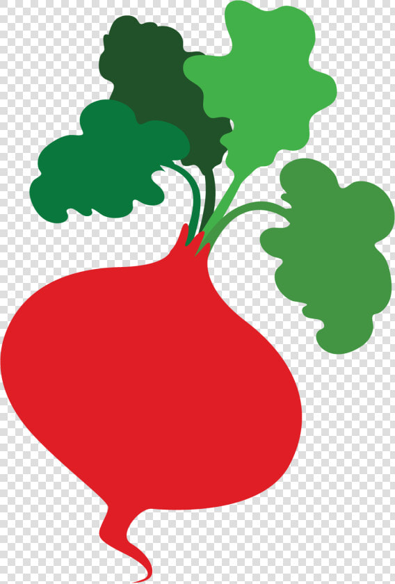 Imagini Banner Organic Food  HD Png DownloadTransparent PNG