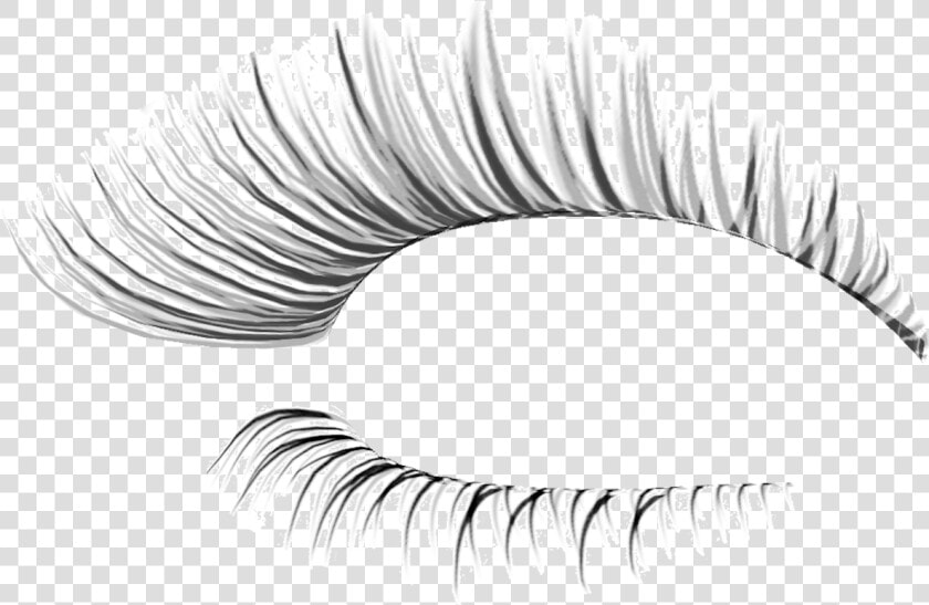 Eye Lash Extension   Transparent Background Fake Eyelashes Transparent  HD Png DownloadTransparent PNG