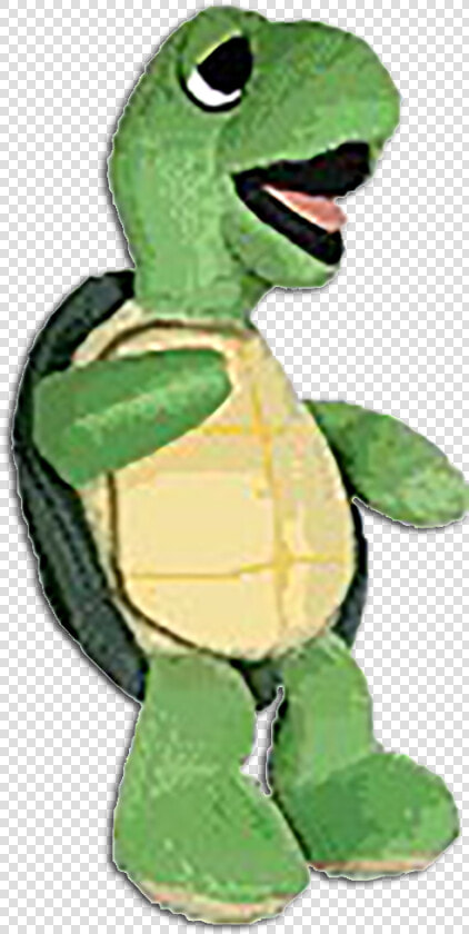 Grateful Dead Terrapin Bean Turtle   Green Sea Turtle  HD Png DownloadTransparent PNG