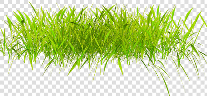 【音画素材】png花朵、栅栏素材（103）   玫瑰夫人     Transparent 3d Grass Png  Png DownloadTransparent PNG