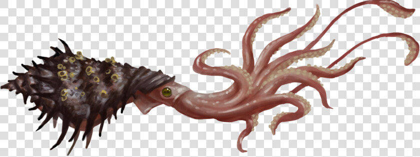 View Media   Prehistoric Squid  HD Png DownloadTransparent PNG