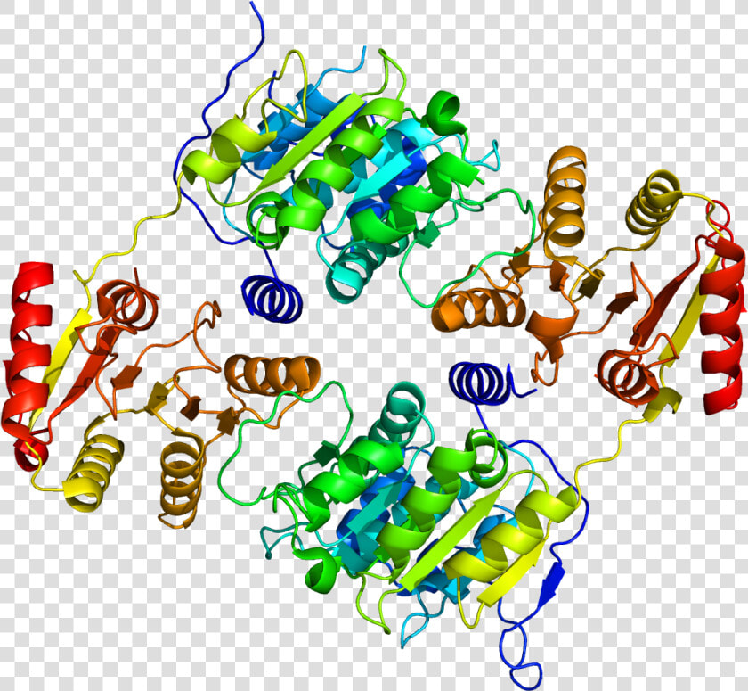 Protein Ddx19b Pdb 3ews   Protein Data Bank  HD Png DownloadTransparent PNG