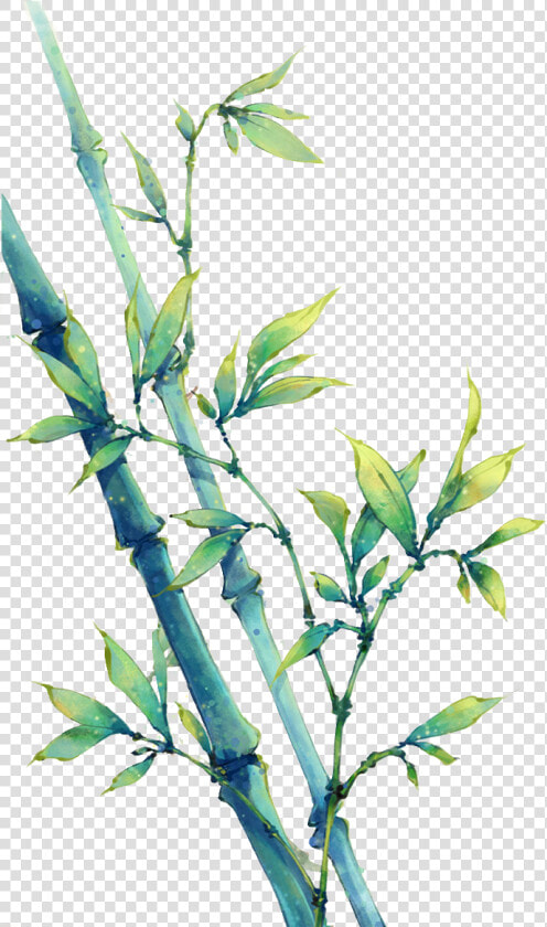 Transparent Bamboo Leaves Png   Bamboo Watercolour  Png DownloadTransparent PNG