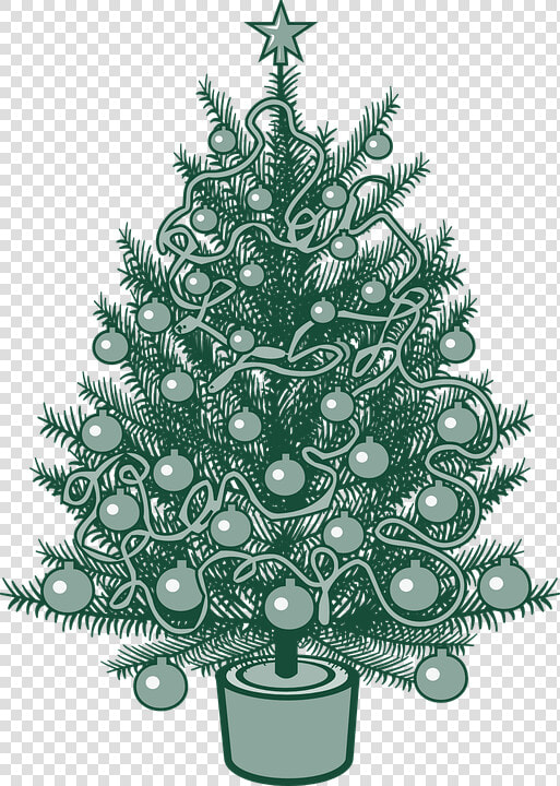 Christmas Tree  X mas  Christmas  Fir Tree  Tree  Green   Christmas Tree Vector  HD Png DownloadTransparent PNG