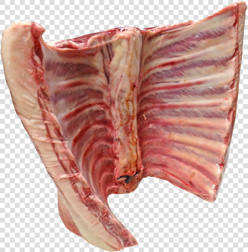 Lamb And Mutton   Ribs Raw Transparent  HD Png DownloadTransparent PNG