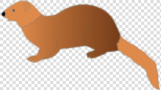 Mongoose Clipart Clip Art   Ferret  HD Png DownloadTransparent PNG