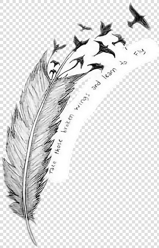   Pluma  aves  tumblr   Everything That  39 s Broke Leave It To The Breeze Meaning  HD Png DownloadTransparent PNG