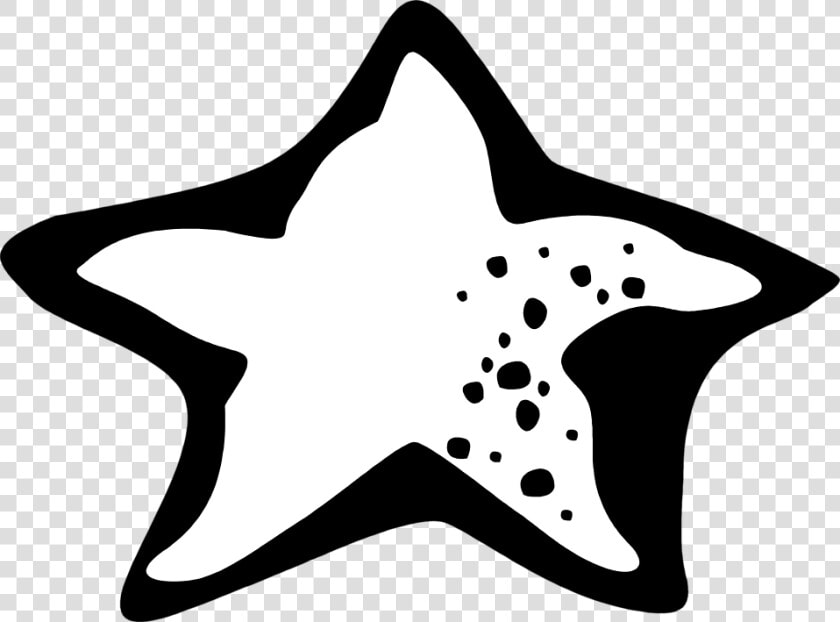 Transparent Starfish Png   Estrela Do Mar Preta Em Png  Png DownloadTransparent PNG