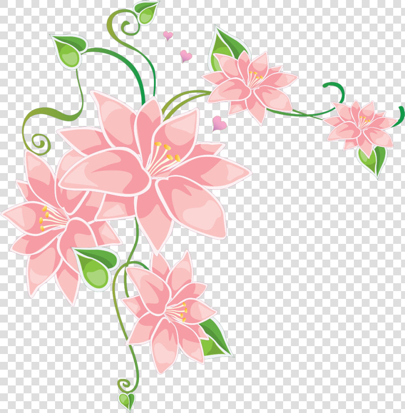 Stargazer Lily  HD Png DownloadTransparent PNG