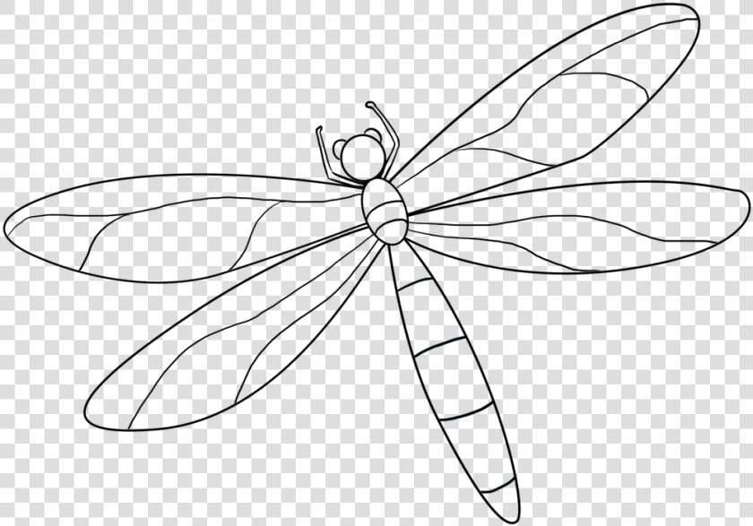 Dragonfly Drawing Beautiful Image   Dragonfly  HD Png DownloadTransparent PNG