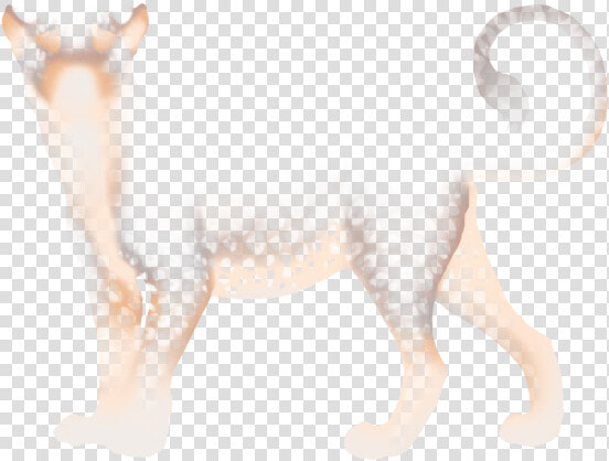 Dog Licks  HD Png DownloadTransparent PNG