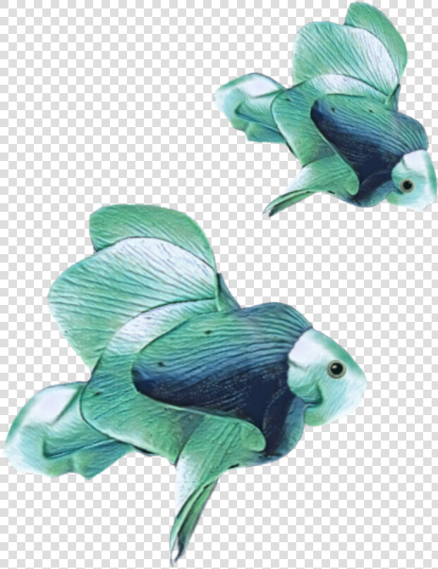 Transparent Angelfish Png   Pomacentridae  Png DownloadTransparent PNG