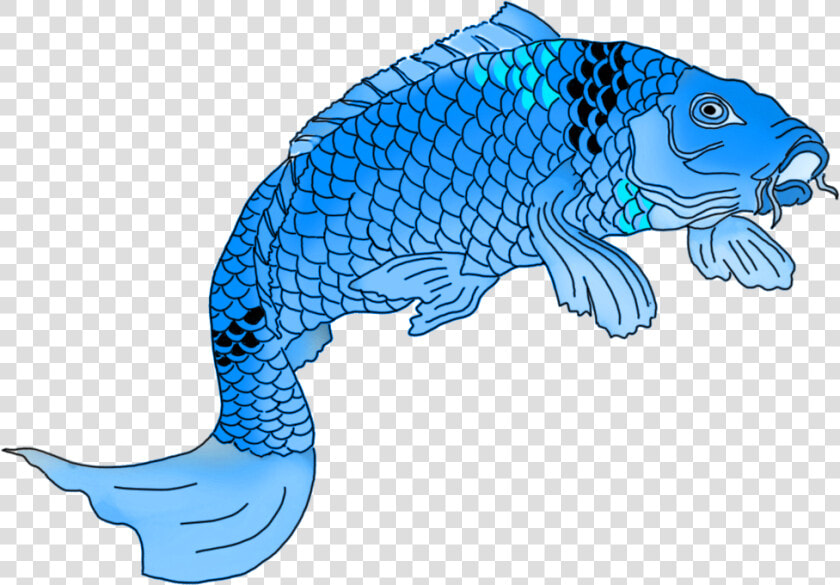 Fish line Art fish clip Art animal Figure tail graphics   Koi Fish Drawing Colored  HD Png DownloadTransparent PNG