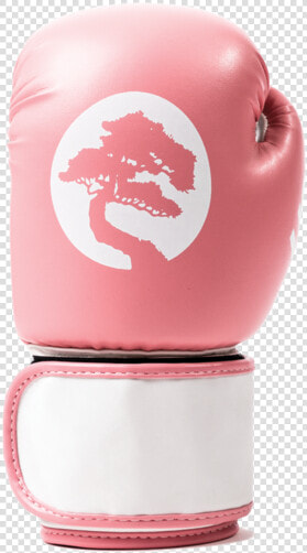 Amateur Boxing  HD Png DownloadTransparent PNG