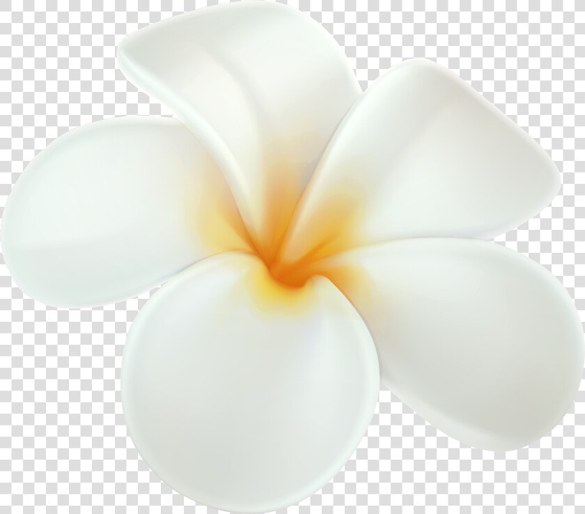 Plumeria Png Clip Art   Plumeria Clipart Png  Transparent PngTransparent PNG