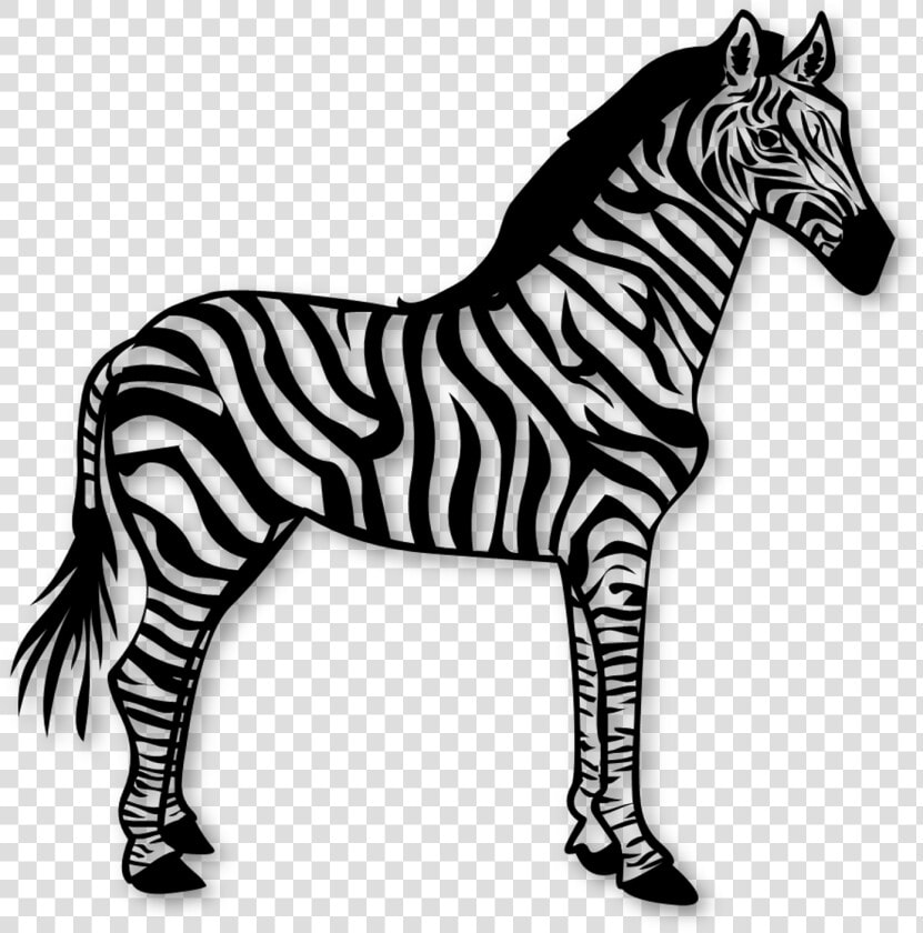 Zebra Pattern Template   Dare To Be Different  HD Png DownloadTransparent PNG