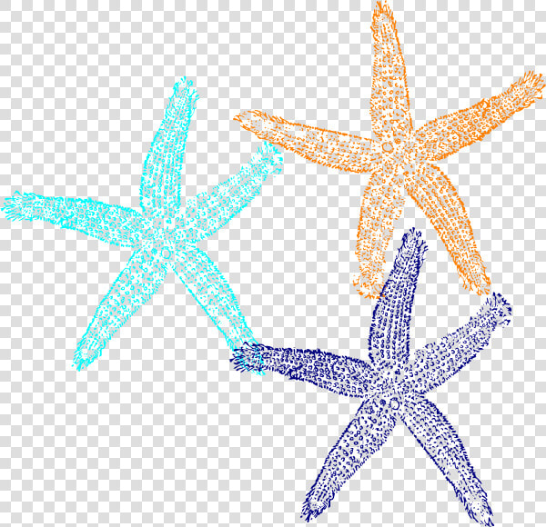 Starfish Svg Clip Arts   Pink Starfish Transparent Background  HD Png DownloadTransparent PNG