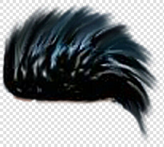 All Png For Picsart   Porcupine  Transparent PngTransparent PNG