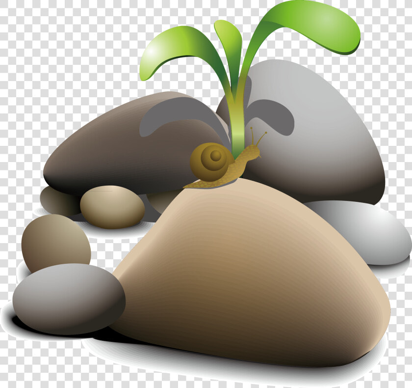 Pebble Clip Art Snail   Planta En Piedras  HD Png DownloadTransparent PNG