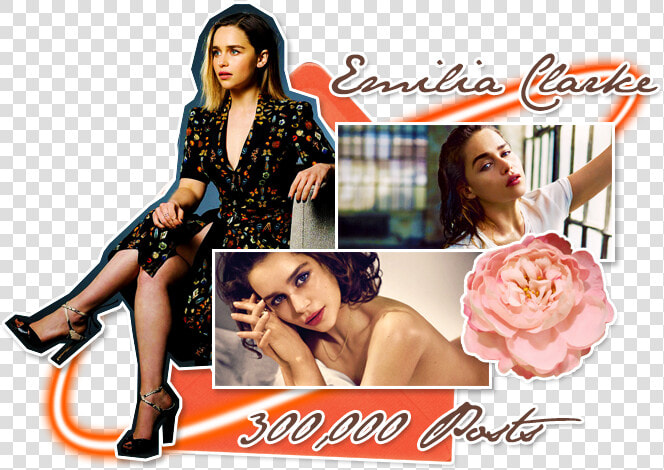 At The Emilia Clarke Board ♔   Garden Roses  HD Png DownloadTransparent PNG